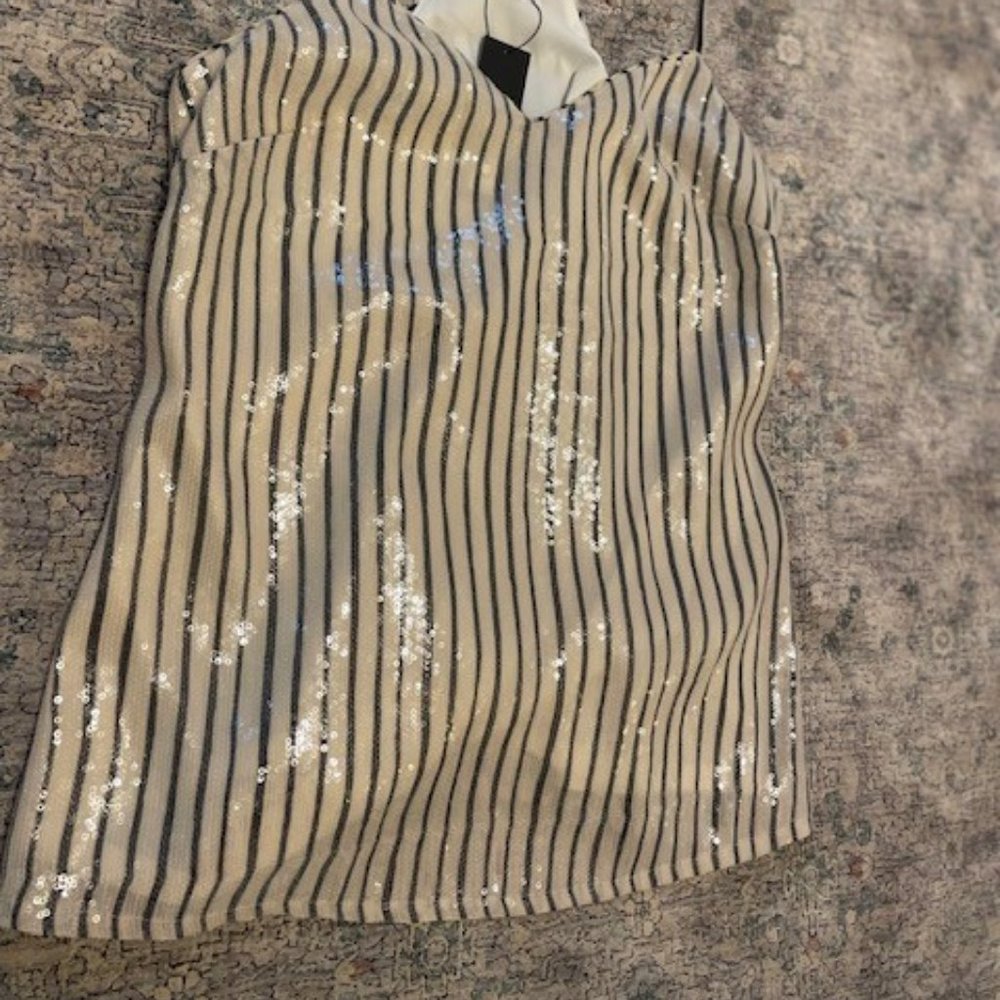 Banana Republic Blue and White Sequined Top